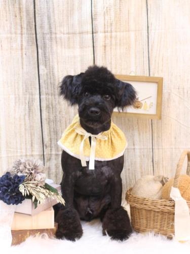 20241020レアくん